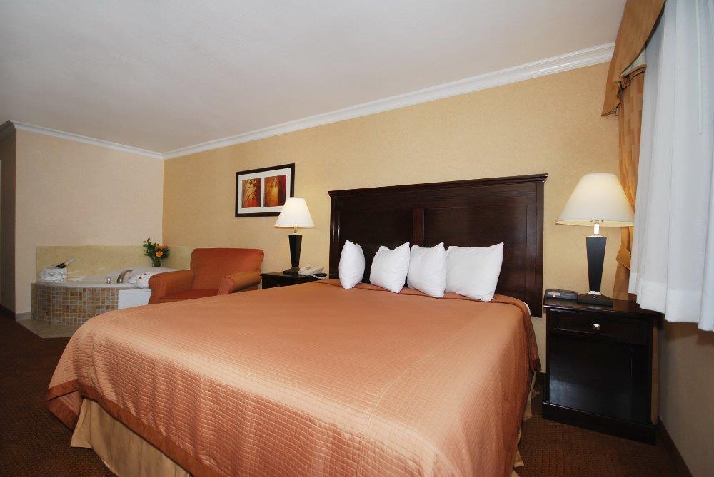 Pasadena Rose & Crown Hotel 객실 사진