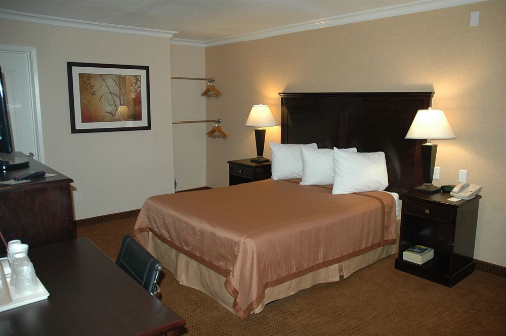 Pasadena Rose & Crown Hotel 객실 사진